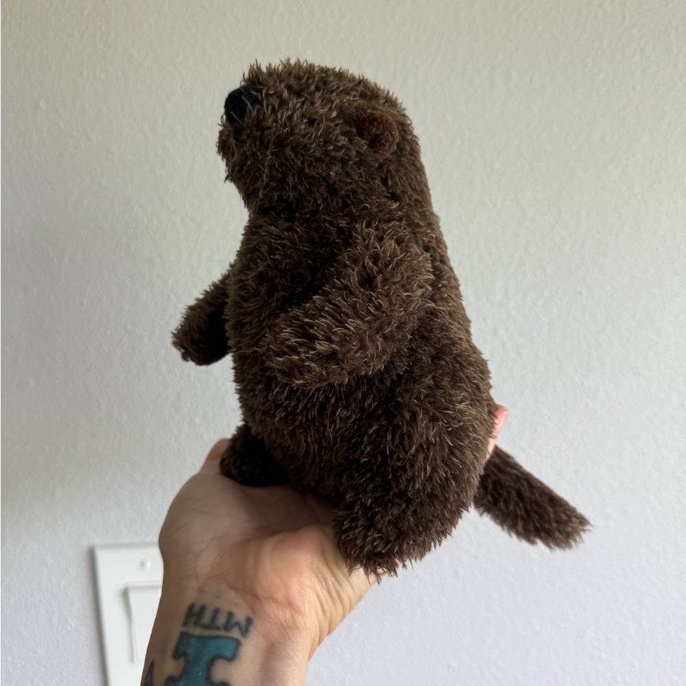 Douglas Groundhog